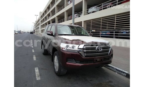 Buy Import Toyota Land Cruiser Brown Car in Import - Dubai in Namibia Buy Import Toyota Land Cruiser Brown Car in Import - Dubai in Namibia