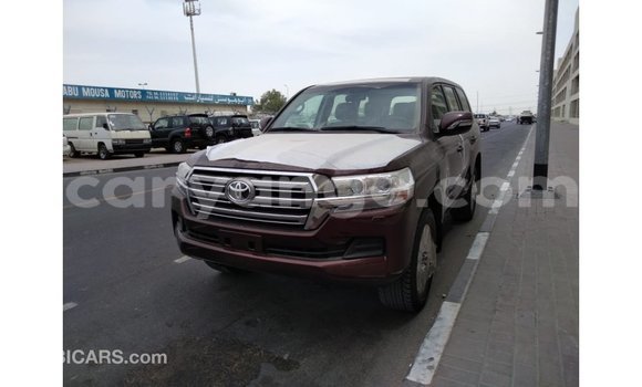 Buy Import Toyota Land Cruiser Brown Car in Import - Dubai in Namibia Buy Import Toyota Land Cruiser Brown Car in Import - Dubai in Namibia