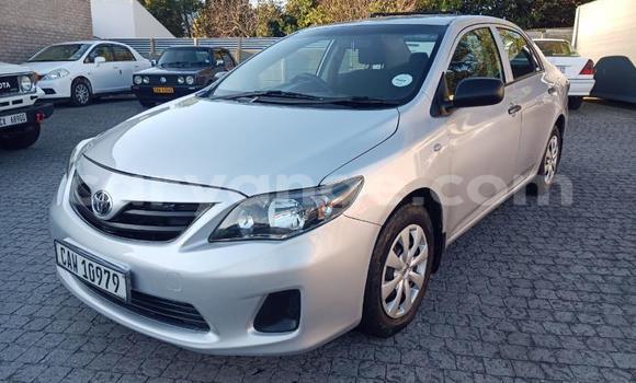 Buy Used Toyota Corolla Silver Car in Gobabis in Omaheke
