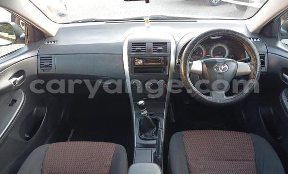 Buy Used Toyota Corolla Silver Car in Gobabis in Omaheke Buy Used Toyota Corolla Silver Car in Gobabis in Omaheke