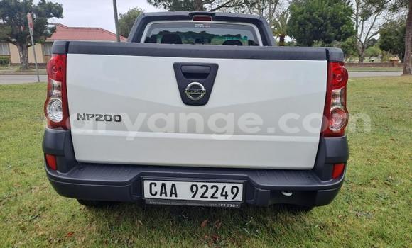 Acheter Occasion Voiture Nissan NP 300 Blanc à Windhoek, Namibie Acheter Occasion Voiture Nissan NP 300 Blanc à Windhoek, Namibie