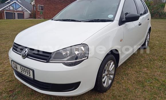 Buy Used Volkswagen Polo White Car in Windhoek in Namibia