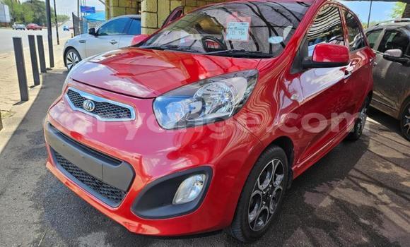 Buy Used Kia Picanto Red Car in Gobabis in Omaheke