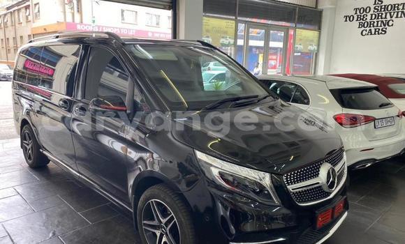 Buy Used Mercedes-Benz V-klasse Other Car in Windhoek in Namibia