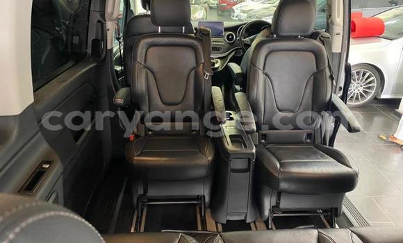Buy Used Mercedes-Benz V-klasse Other Car in Windhoek in Namibia Buy Used Mercedes-Benz V-klasse Other Car in Windhoek in Namibia