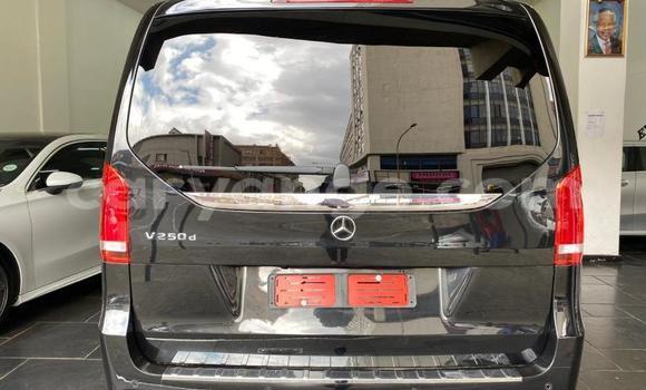 Buy Used Mercedes-Benz V-klasse Other Car in Windhoek in Namibia Buy Used Mercedes-Benz V-klasse Other Car in Windhoek in Namibia