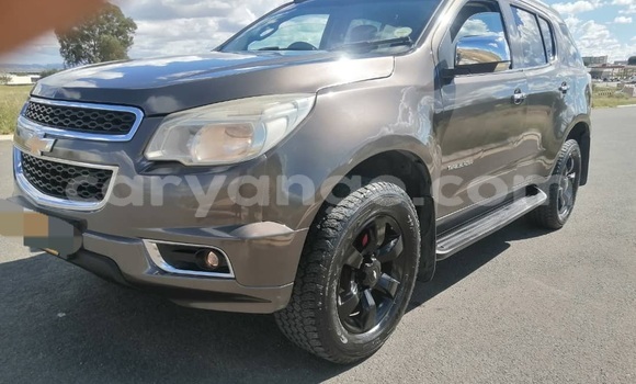 Buy Used Chevrolet TrailBlazer Brown Car in Windhoek in Namibia Buy Used Chevrolet TrailBlazer Brown Car in Windhoek in Namibia