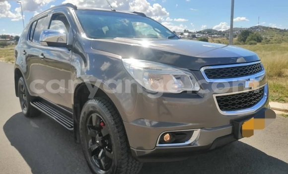 Buy Used Chevrolet TrailBlazer Brown Car in Windhoek in Namibia Buy Used Chevrolet TrailBlazer Brown Car in Windhoek in Namibia