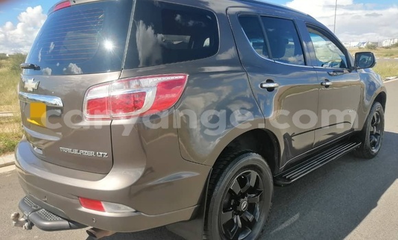Buy Used Chevrolet TrailBlazer Brown Car in Windhoek in Namibia Buy Used Chevrolet TrailBlazer Brown Car in Windhoek in Namibia