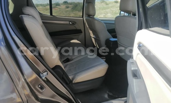 Buy Used Chevrolet TrailBlazer Brown Car in Windhoek in Namibia Buy Used Chevrolet TrailBlazer Brown Car in Windhoek in Namibia
