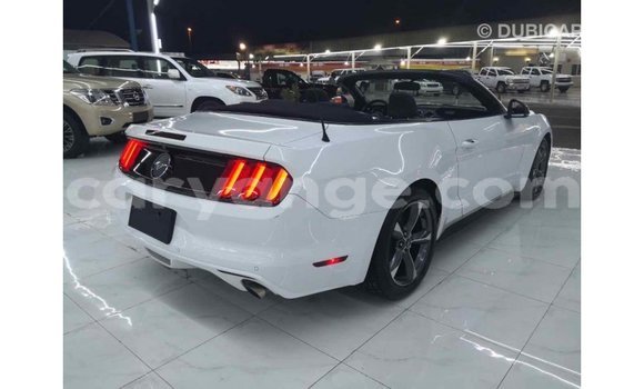 Acheter Import Voiture Ford Mustang Blanc à Import - Dubai, Namibie Acheter Import Voiture Ford Mustang Blanc à Import - Dubai, Namibie