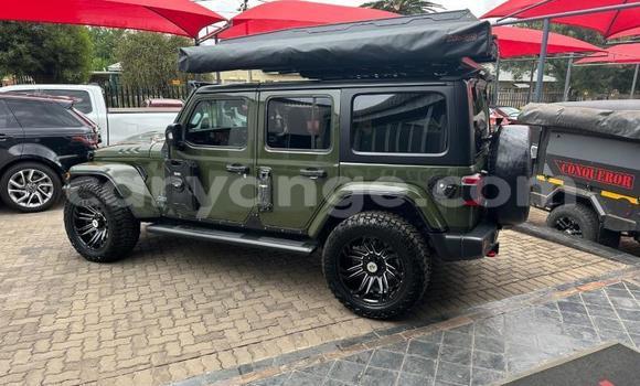 Buy Used Jeep Wrangler Green Car in Windhoek in Namibia Buy Used Jeep Wrangler Green Car in Windhoek in Namibia