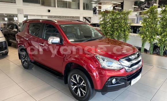 Buy Used Isuzu MU-X Red Car in Windhoek in Namibia Buy Used Isuzu MU-X Red Car in Windhoek in Namibia