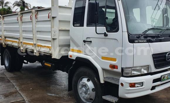 Buy Used Nissan UD White Truck in Henties Bay in Erongo Buy Used Nissan UD White Truck in Henties Bay in Erongo