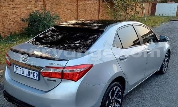 Buy Used Toyota Corolla Silver Car in Windhoek in Namibia Buy Used Toyota Corolla Silver Car in Windhoek in Namibia