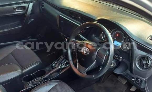 Buy Used Toyota Corolla Silver Car in Windhoek in Namibia Buy Used Toyota Corolla Silver Car in Windhoek in Namibia