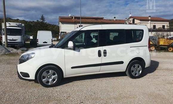 Buy Used Fiat Doblo White Car in Windhoek in Namibia