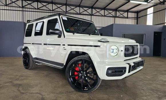 Buy Used Mercedes-Benz G–Class White Car in Windhoek in Namibia