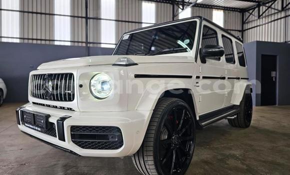 Buy Used Mercedes-Benz G–Class White Car in Windhoek in Namibia Buy Used Mercedes-Benz G–Class White Car in Windhoek in Namibia