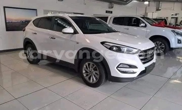 Buy Used Hyundai Tucson White Car in Windhoek in Namibia