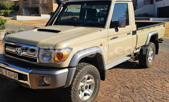 Buy Used Toyota Land Cruiser Beige Car in Windhoek in Namibia Buy Used Toyota Land Cruiser Beige Car in Windhoek in Namibia