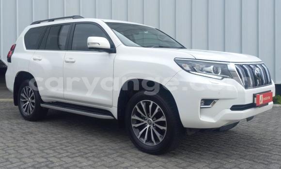 Buy Used Toyota Land Cruiser Prado White Car in Windhoek in Namibia