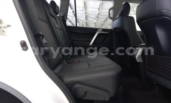 Buy Used Toyota Land Cruiser Prado White Car in Windhoek in Namibia Buy Used Toyota Land Cruiser Prado White Car in Windhoek in Namibia