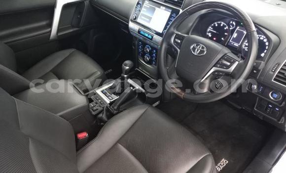 Buy Used Toyota Land Cruiser Prado White Car in Windhoek in Namibia Buy Used Toyota Land Cruiser Prado White Car in Windhoek in Namibia