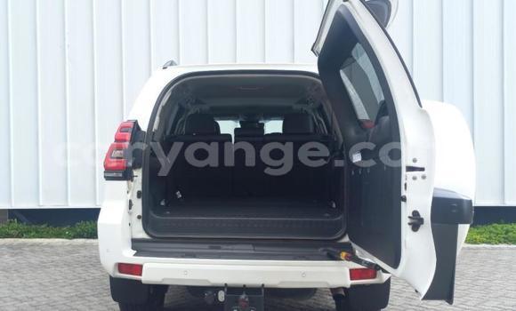 Buy Used Toyota Land Cruiser Prado White Car in Windhoek in Namibia Buy Used Toyota Land Cruiser Prado White Car in Windhoek in Namibia
