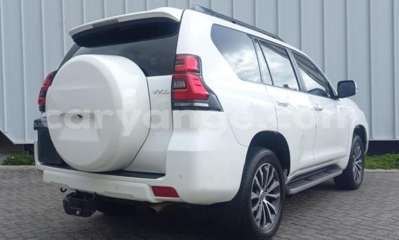 Buy Used Toyota Land Cruiser Prado White Car in Windhoek in Namibia Buy Used Toyota Land Cruiser Prado White Car in Windhoek in Namibia