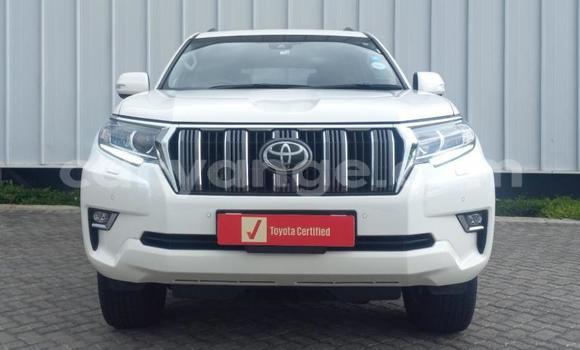 Buy Used Toyota Land Cruiser Prado White Car in Windhoek in Namibia Buy Used Toyota Land Cruiser Prado White Car in Windhoek in Namibia