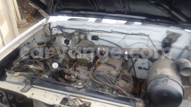 Big with watermark 13603476 1055530024501900 1239179097721902380 o