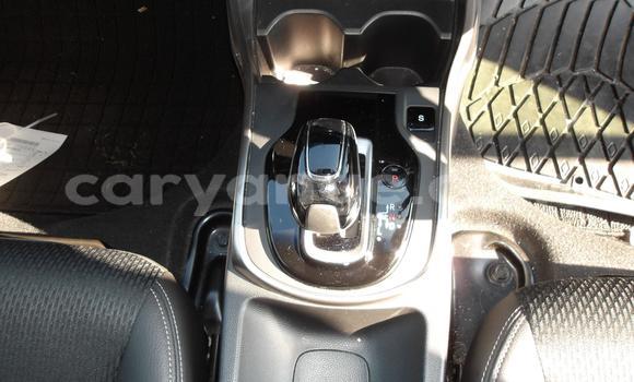 Buy Used Honda Grace White Car in Windhoek in Namibia Buy Used Honda Grace White Car in Windhoek in Namibia