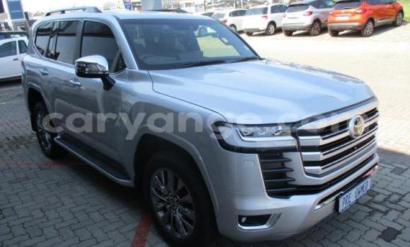 Buy Used Toyota Land Cruiser Silver Car in Windhoek in Namibia