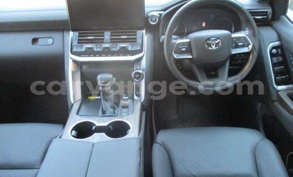 Buy Used Toyota Land Cruiser Silver Car in Windhoek in Namibia Buy Used Toyota Land Cruiser Silver Car in Windhoek in Namibia