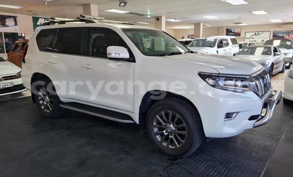 Buy Used Toyota Land Cruiser Prado White Car in Windhoek in Namibia Buy Used Toyota Land Cruiser Prado White Car in Windhoek in Namibia