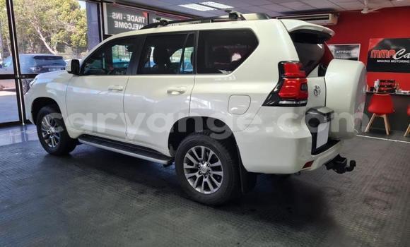 Buy Used Toyota Land Cruiser Prado White Car in Windhoek in Namibia Buy Used Toyota Land Cruiser Prado White Car in Windhoek in Namibia