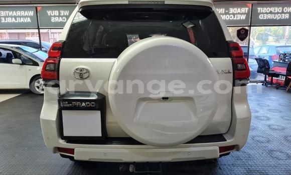 Buy Used Toyota Land Cruiser Prado White Car in Windhoek in Namibia Buy Used Toyota Land Cruiser Prado White Car in Windhoek in Namibia