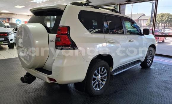 Buy Used Toyota Land Cruiser Prado White Car in Windhoek in Namibia Buy Used Toyota Land Cruiser Prado White Car in Windhoek in Namibia