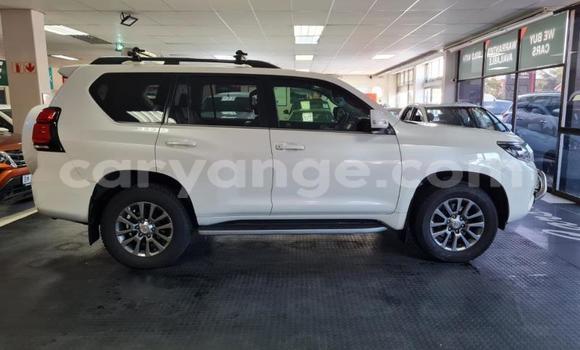 Buy Used Toyota Land Cruiser Prado White Car in Windhoek in Namibia Buy Used Toyota Land Cruiser Prado White Car in Windhoek in Namibia