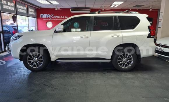 Buy Used Toyota Land Cruiser Prado White Car in Windhoek in Namibia Buy Used Toyota Land Cruiser Prado White Car in Windhoek in Namibia