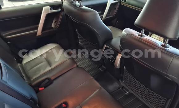 Buy Used Toyota Land Cruiser Prado White Car in Windhoek in Namibia Buy Used Toyota Land Cruiser Prado White Car in Windhoek in Namibia