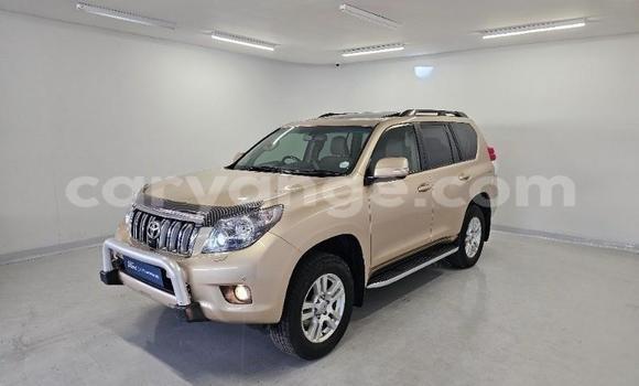 Buy Used Toyota Land Cruiser Prado Other Car in Windhoek in Namibia Buy Used Toyota Land Cruiser Prado Other Car in Windhoek in Namibia