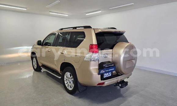 Buy Used Toyota Land Cruiser Prado Other Car in Windhoek in Namibia Buy Used Toyota Land Cruiser Prado Other Car in Windhoek in Namibia