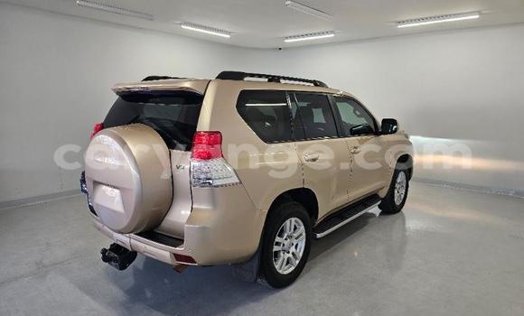 Buy Used Toyota Land Cruiser Prado Other Car in Windhoek in Namibia Buy Used Toyota Land Cruiser Prado Other Car in Windhoek in Namibia