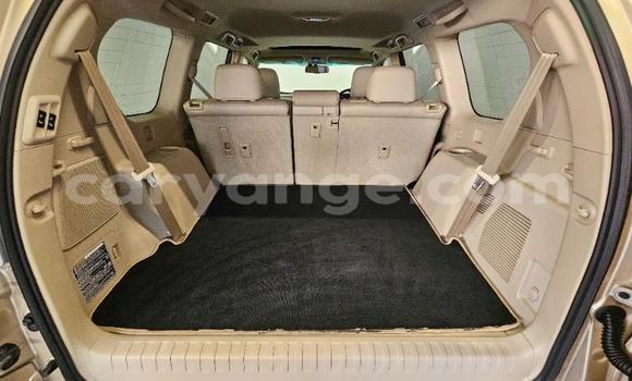 Buy Used Toyota Land Cruiser Prado Other Car in Windhoek in Namibia Buy Used Toyota Land Cruiser Prado Other Car in Windhoek in Namibia