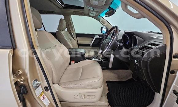 Buy Used Toyota Land Cruiser Prado Other Car in Windhoek in Namibia Buy Used Toyota Land Cruiser Prado Other Car in Windhoek in Namibia