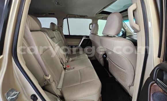 Buy Used Toyota Land Cruiser Prado Other Car in Windhoek in Namibia Buy Used Toyota Land Cruiser Prado Other Car in Windhoek in Namibia
