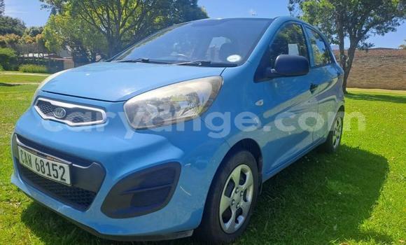 Buy Used Kia Picanto Blue Car in Gobabis in Omaheke