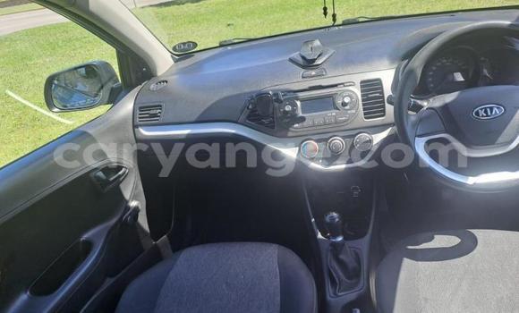 Acheter Occasion Voiture Kia Picanto Bleu à Gobabis, Omaheke Acheter Occasion Voiture Kia Picanto Bleu à Gobabis, Omaheke